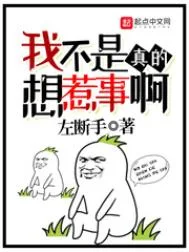 我不是真的想惹事啊封面