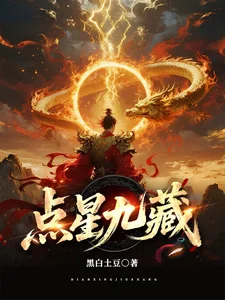 点星九藏封面