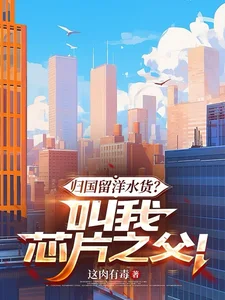 归国留洋水货？叫我芯片之父！封面