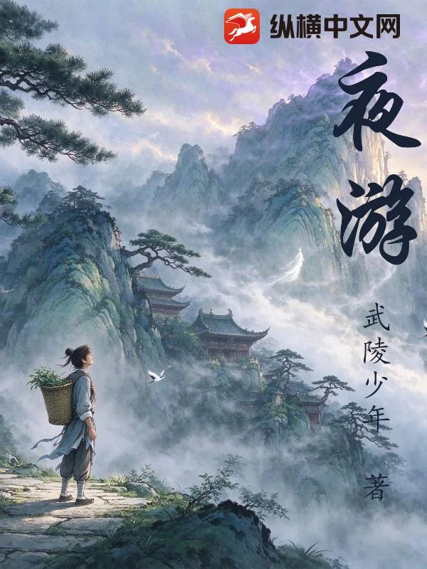 夜游封面