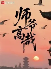 师爷高哉封面