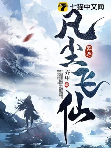 凡尘飞仙封面