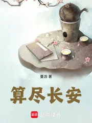 算尽长安封面