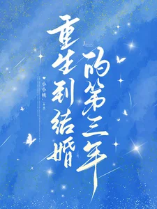 重生到结婚的第三年封面