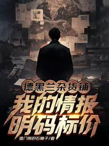德黑兰杂货铺：我的情报明码标价封面