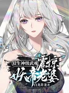 双生神级武魂,震惊妖帝老婆!封面