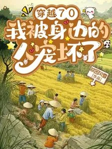 穿越70，我被身边的人宠坏了封面