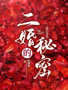 二婚的秘密封面