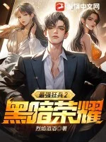 最强狂兵2:黑暗荣耀封面