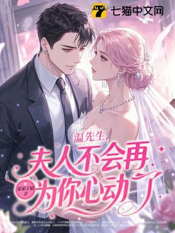 碎婚封面