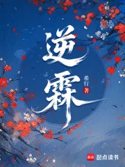 逆霖封面