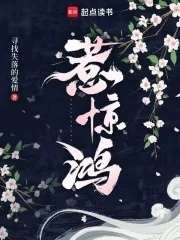 惹惊鸿封面