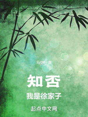 知否:我是徐家子封面