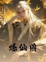 炼仙鼎封面