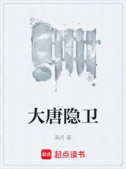 大唐隐卫封面