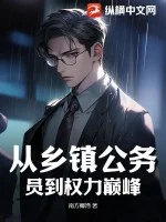 从乡镇公务员到权力巅峰封面
