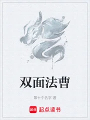 双面法曹封面