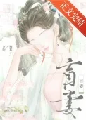 盲妻封面
