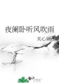 夜阑卧听风吹雨封面
