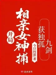 开局相亲女神捕,获独孤九剑封面
