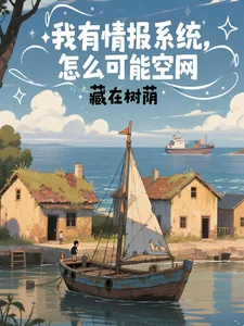 我有情报系统,怎么可能空网封面