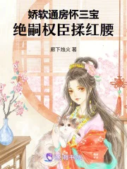 娇软丫鬟怀三宝,绝嗣权臣揽入腰封面