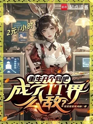 重生开个网吧,成了IT界公敌?封面