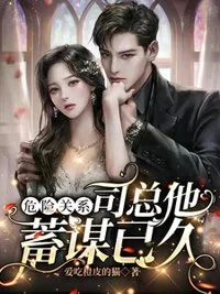 危险关系，司总他蓄谋已久封面