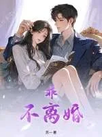 乖,不离婚封面