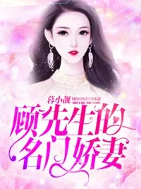 顾先生的名门娇妻封面