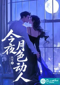 今夜月色动人封面