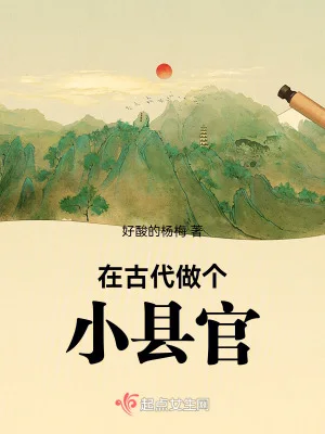 在古代做个小县官封面