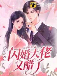 闪婚大佬又醋了封面