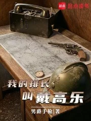 我的排长戴高乐封面