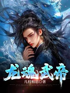 龙魂武帝封面