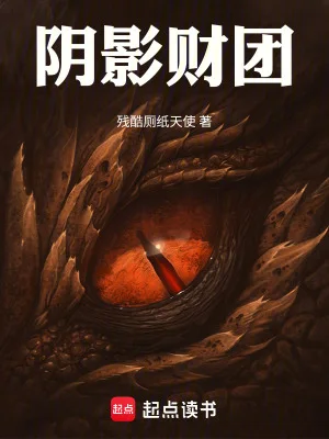 阴影财团封面