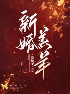 新婚羔羊封面