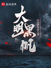 大明黑帆封面
