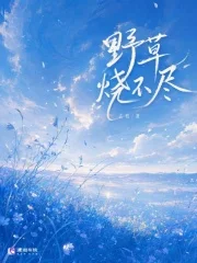 野草烧不尽封面