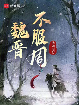 魏晋不服周封面
