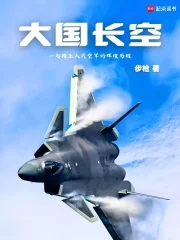 大国长空封面