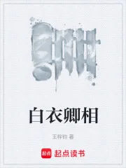 白衣卿相封面