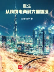 重生:从跨境电商到大国智造封面