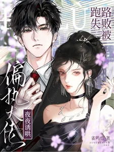 跑路失败,被偏执大佬夜夜诱哄封面