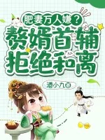 肥妻万人嫌?赘婿首辅拒绝和离封面
