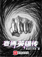 赛博英雄传封面