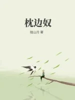 枕边奴封面