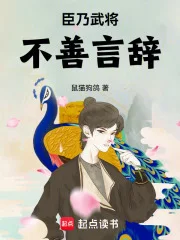 大宋悍臣封面