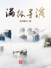 满级导演封面