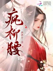 疯柳腰封面
